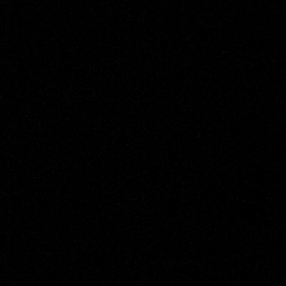 Meet your Posher, Mickey